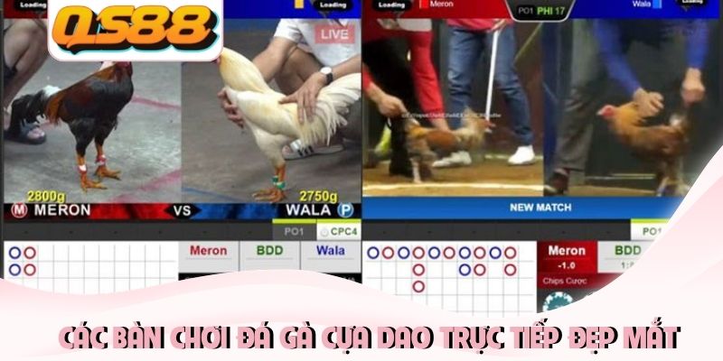 Các bàn chơi đá gà cựa dao trực tiếp đẹp mắt