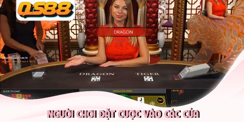 Rồng Hổ Là Gì? Cập Nhật Luật Chơi và Trả Thưởng Tại QS88 2 Người chơi đặt cược vào các cửa