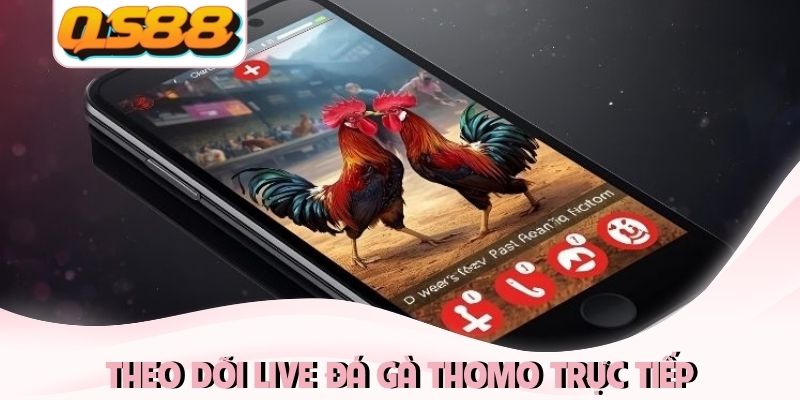 Live Đá Gà Thomo QS88 - Tận Hưởng Đấu Trường Đỉnh Cao 2026 1 Theo dõi live đá gà Thomo trực tiếp