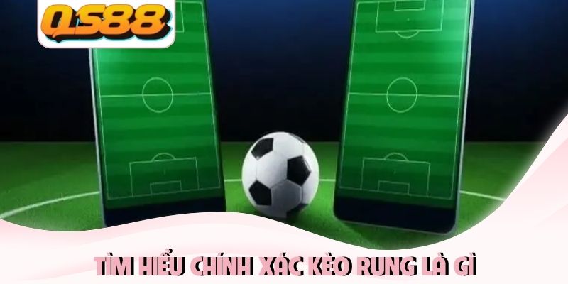 Tìm hiểu chính xác kèo rung là gì