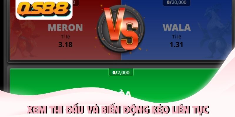 Live Đá Gà Thomo QS88 - Tận Hưởng Đấu Trường Đỉnh Cao 2026 2 Xem thi đấu và biến động kèo liên tục
