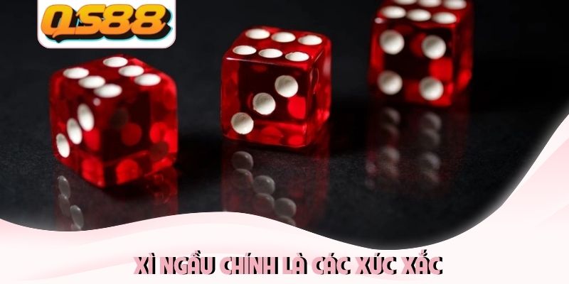 Xì ngầu chính là các xúc xắc